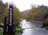奥利根水源の森