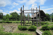 矢瀬親水公園